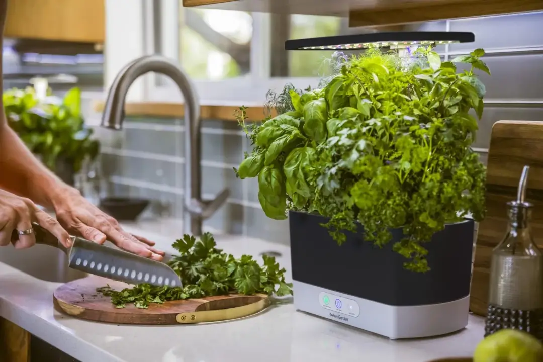 AeroGarden Harvest Smart Plant Pot