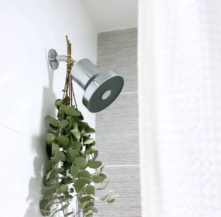 This Showerhead Removes Heavy Metal for Healthier Skin - The Showerhead That Removes Heavy Metal from Water The Showerhead That Removes Heavy Metal from Water