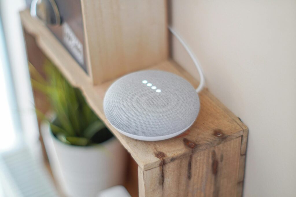 10 Thoughtful Gifts That Will Make Your Blind Friends' Day - Google Nest Mini 2nd Gen Google Nest Mini 2nd Gen