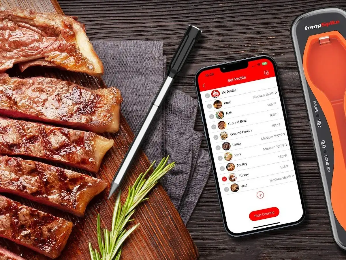 TempSpike Pro boasts accurate meat temperatures anywhere you grill