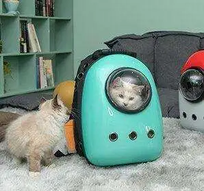 031708f5 919a 40c0 9b7d 25e88ef3f76e. CR00970300 PT0 SX970 V1