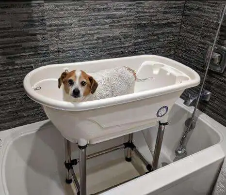 Dog/Cat Washing/Grooming Portable Bathtub - 109212312 109212312