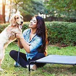 Indoor/Outdoor Breathable Cooling Elevated Dog Bed - 2b22ad20 f852 4298 8f02 a957622b6de4. CR00600600 PT0 SX300 V1 2b22ad20 f852 4298 8f02 a957622b6de4. CR00600600 PT0 SX300 V1