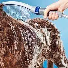 Dog/Cat Water Comb Spray Attachment for Easier and Faster Bath Time - 364c079f c2bb 4fbe aed5 fb9e5c435be6. SL220 364c079f c2bb 4fbe aed5 fb9e5c435be6. SL220