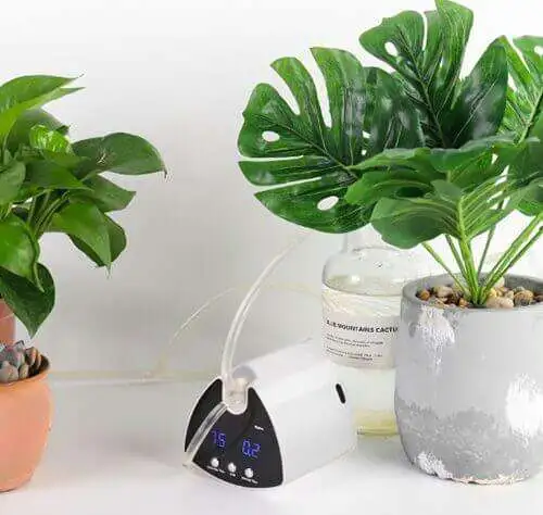 3c84d8fa db72 4cd8 b955 e268bc2378d1. CR00970600 PT0 SX970 V1