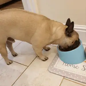 40b56600 7b2e 4e41 bace 1ae5ab764efe. CR00300300 PT0 SX300 V1