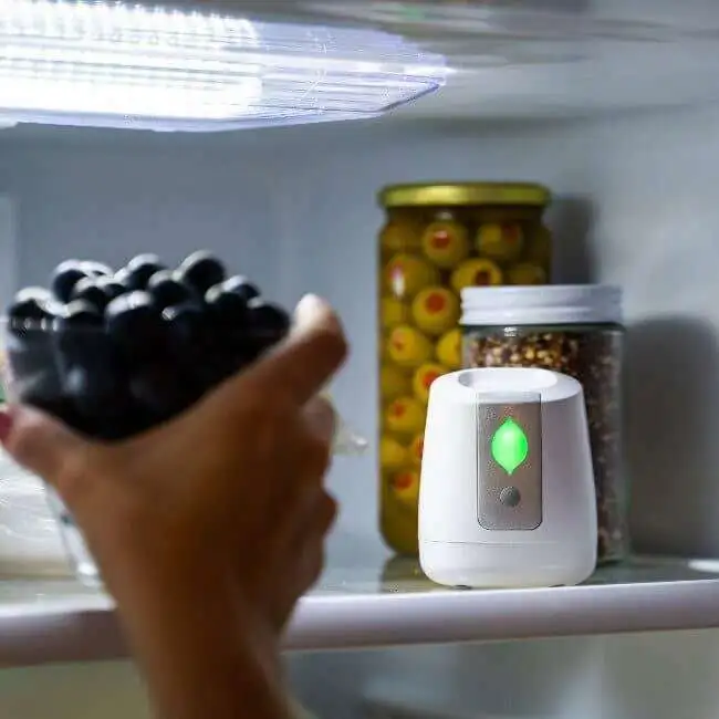 pureAir Extends Food Shelf Life in the Fridge and Makes it Smell Better -