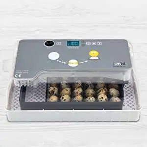 502c91a2 1352 4412 accd d42a13db6278. CR00500500 PT0 SX300 V1