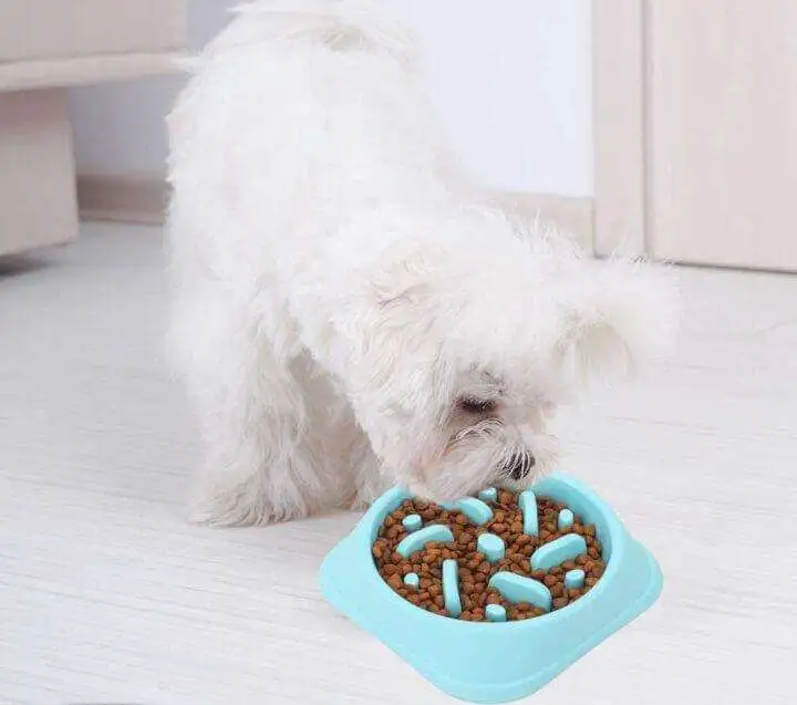 61YCVWfcFrL. AC SL1200