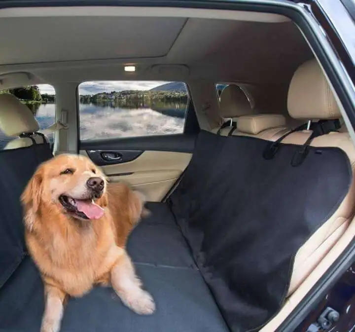 Water-Resistant Back Seat Extender for Dogs - 61bkbpQbVUL. AC SL1000 61bkbpQbVUL. AC SL1000