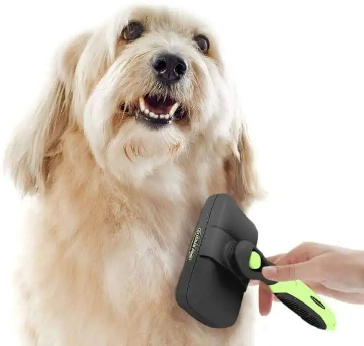 Self-Cleaning Slicker Brush for Dog or Cat - 61iOILsU1L. AC SL1500 61iOILsU1L. AC SL1500