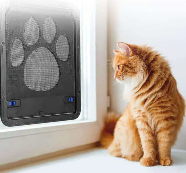 Self-Closing & Lockable Magnetic Cat/Puppy Door - 718iwLVssVL. AC SL1500 e1601708220710 718iwLVssVL. AC SL1500 e1601708220710
