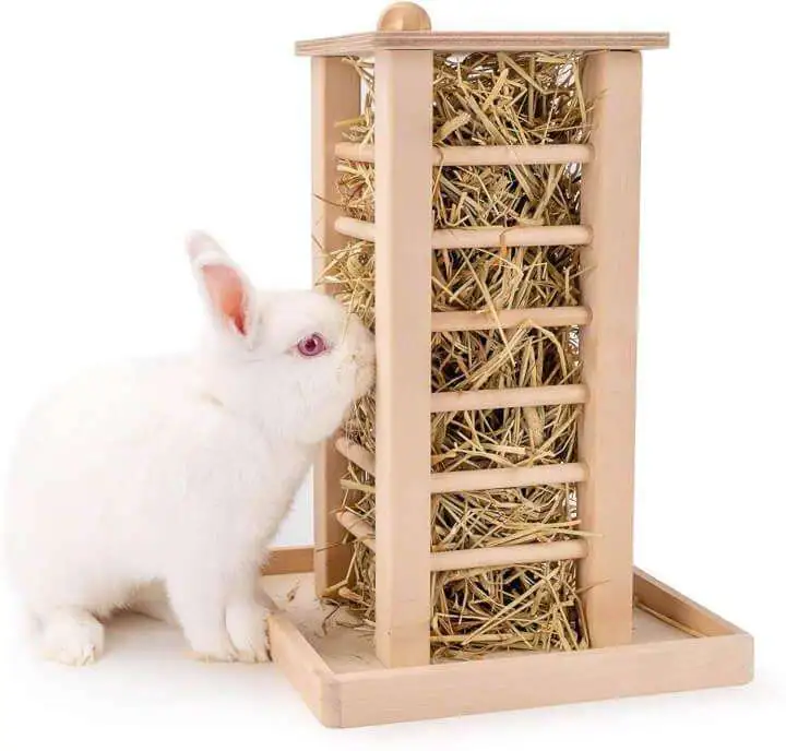 Less Wasted Wooden Food Feeding Rack - 71c87cEAhGL. AC SL1500 1 71c87cEAhGL. AC SL1500 1