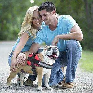 Choke-Free Waterproof Dog Harness - 8a84516b 1d2b 41e8 889c c7e601725968. CR00300300 PT0 SX300 V1 8a84516b 1d2b 41e8 889c c7e601725968. CR00300300 PT0 SX300 V1