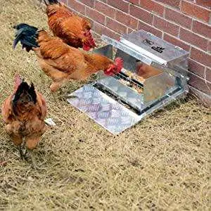 Automatic Chicken Feeder That Prevents Foods from Being Stolen by Birds - 8b8c8e7d 5fa7 4e2d 90d3 68b504b1ef42. CR0015001500 PT0 SX300 V1 8b8c8e7d 5fa7 4e2d 90d3 68b504b1ef42. CR0015001500 PT0 SX300 V1
