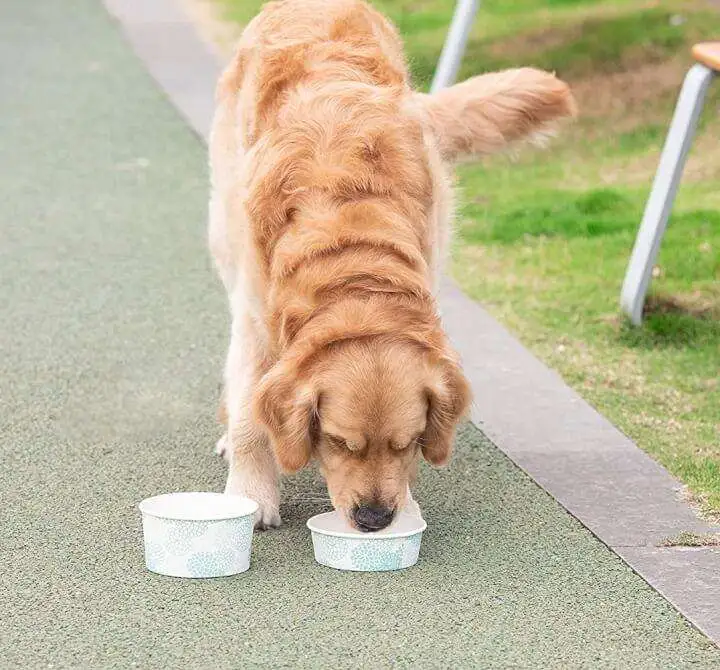 91mgK AWVXL. AC SL1500