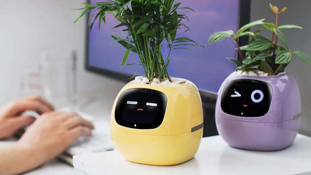 Amazon Gadgets That Will Upgrade Your Apartment - Amazon Gadgets That Will Upgrade Your Apartment Amazon Gadgets That Will Upgrade Your Apartment