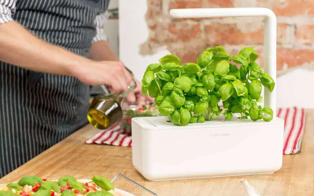 Best Gift Ideas for Moms Who Loves Gardening - Best Gift Ideas for Moms Who Loves Gardening Best Gift Ideas for Moms Who Loves Gardening