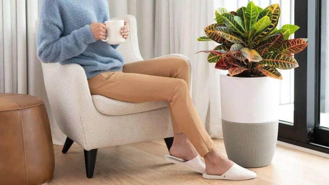 Want Fresh Air? This Indoor Plant Air Purifier Mash Up Cleans Your Living Room - Dupray Bloom Dupray Bloom