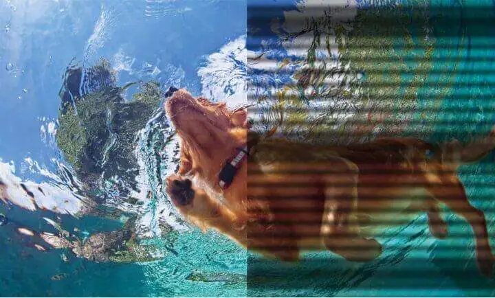 BenQ Monitor with Proprietary Flicker-Free Tech - Flicker Free BenQ Flicker Free BenQ