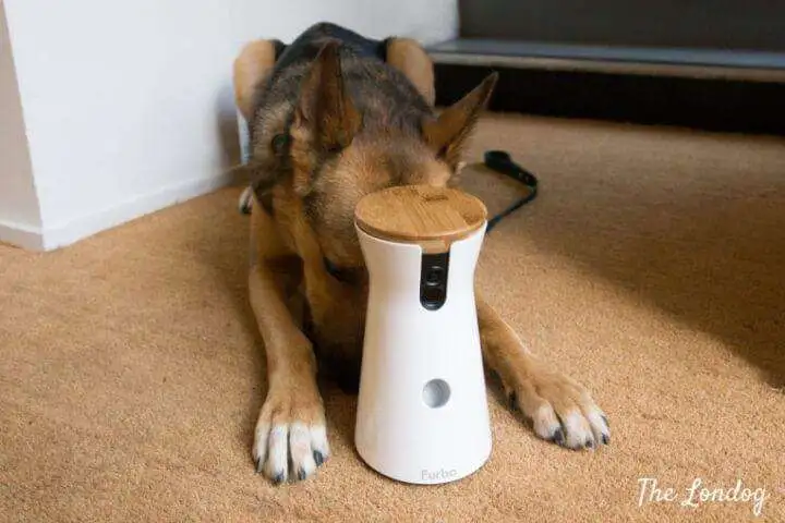 Furbo dog camera review 3 1024x683 1