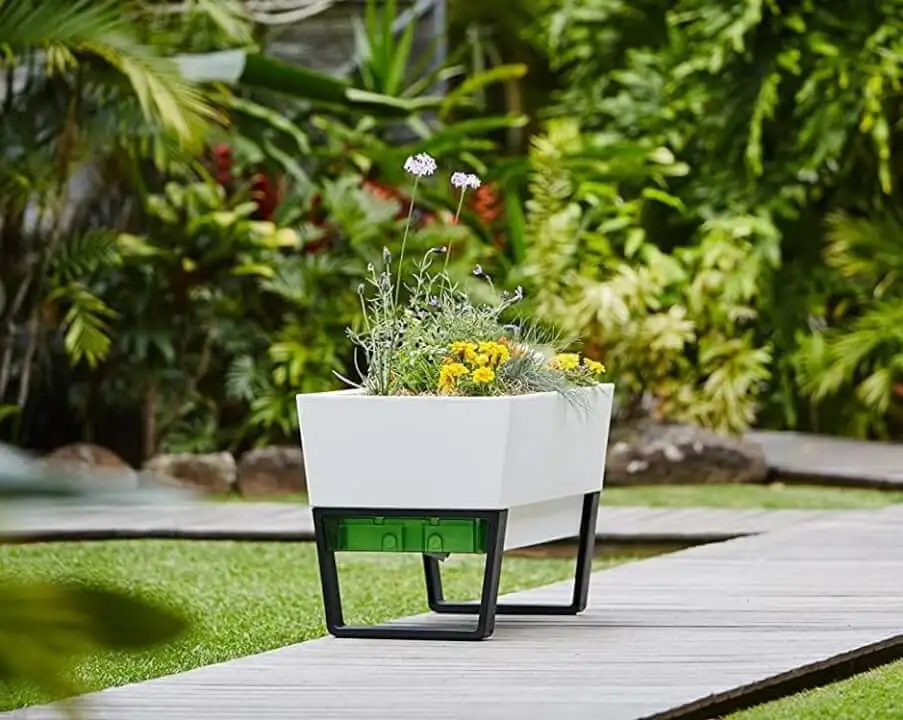 Glowpear Self Watering Planter