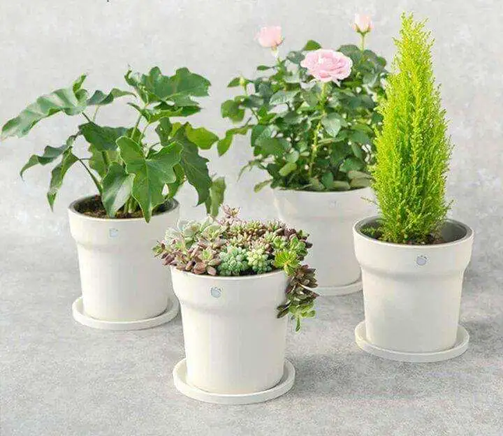 Smart Plant Pot with Nutrient Sensor - HHCC HHCC