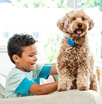 Health and Location Tracker Dog