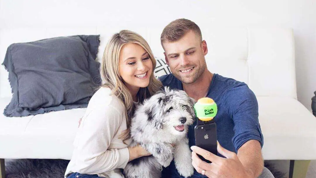 Holiday Gift Ideas for Dog Owners - Holiday Gift Ideas for Dog Owners Holiday Gift Ideas for Dog Owners