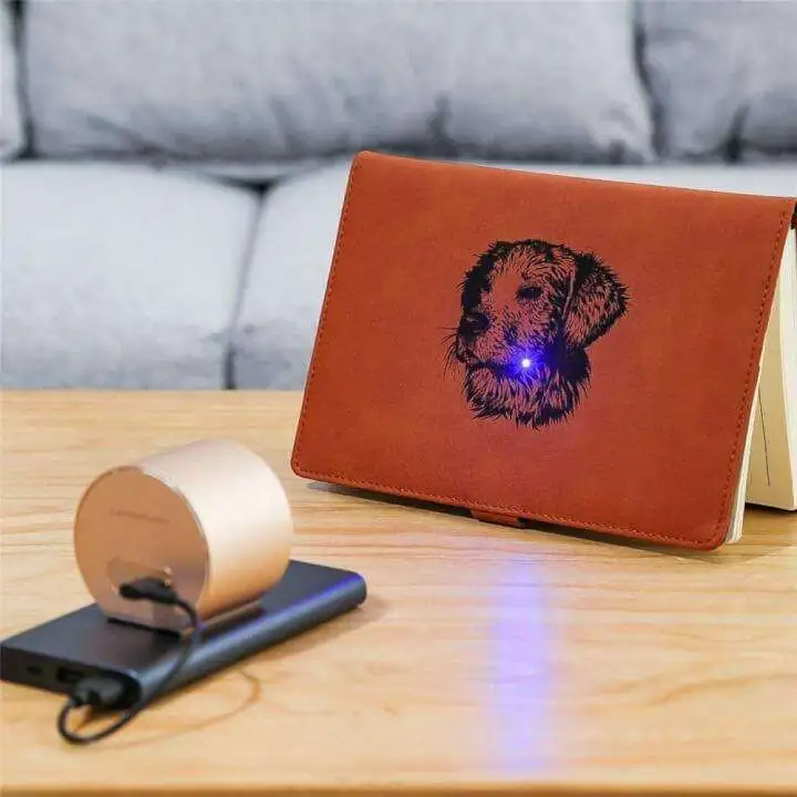 Mini Laser Engraver Machine to Create Art Craft