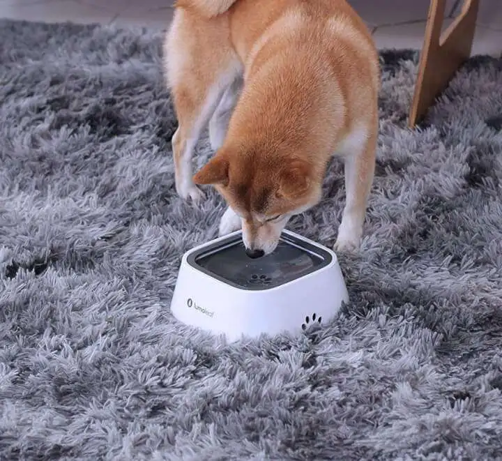No-Spill Water Bowl for Pets - No Spill Water Bowl for Dog No Spill Water Bowl for Dog