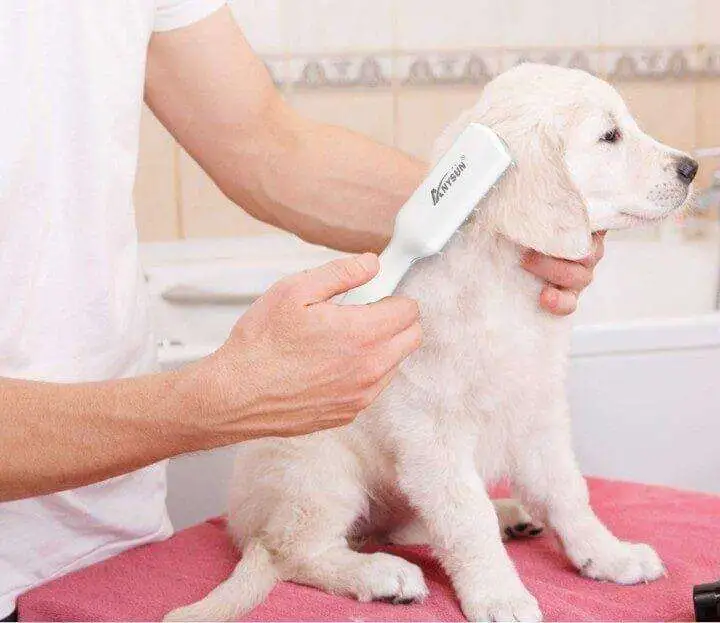 Odor Eliminator Comb for Cats & Dogs - Odor Eliminator Comb Odor Eliminator Comb