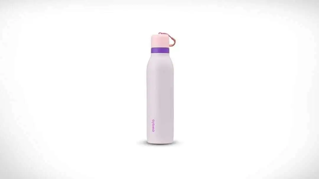 This Water Bottle Lets You Sip or Swig Easily - Owala FreeSip Twist Insulated Stainless Steel Water Bottle with Straw for Sports and Travel BPA Free 24 oz Pink Purple Dreamy Field Owala FreeSip Twist Insulated Stainless Steel Water Bottle with Straw for Sports and Travel, BPA-Free, 24-oz, Pink/Purple (Dreamy Field)