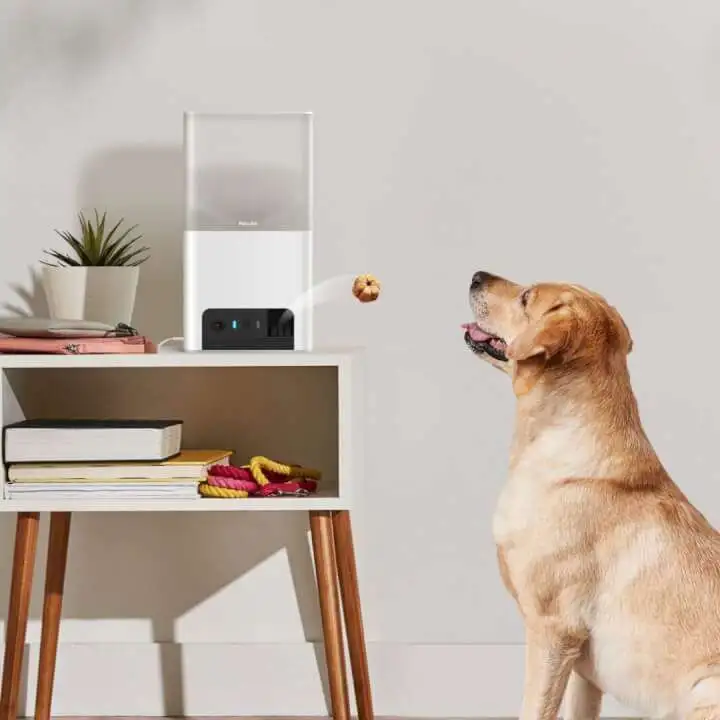 Petcube Bites 2 Lite