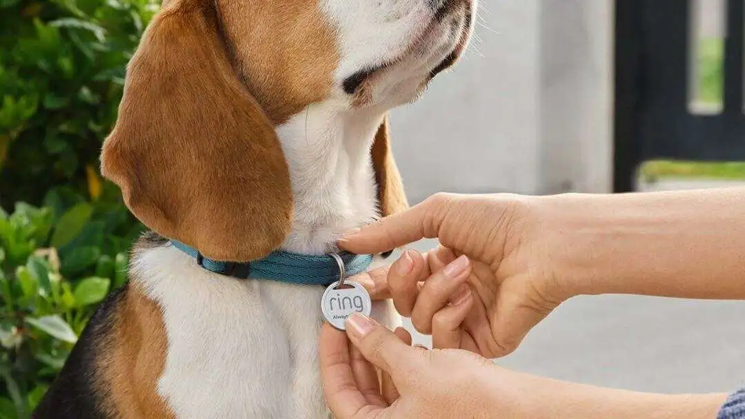 Ring Pet Tag 001