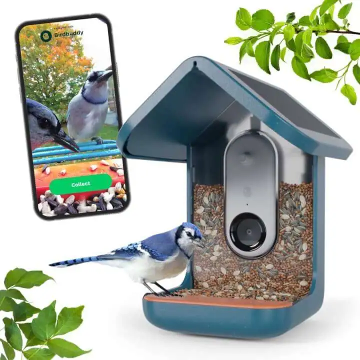 Smart Bird Feeder with Camera and Powered by The Sun scaled 1