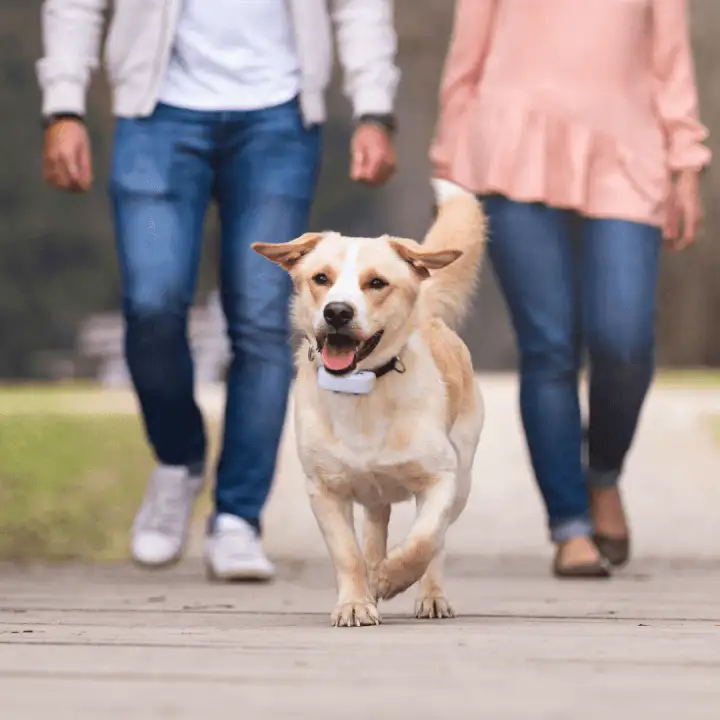 Tractive GPS Dog Tracker