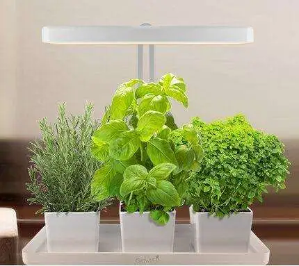 be18da39 c11d 4116 9dd7 0fd46863f804. CR00970600 PT0 SX970