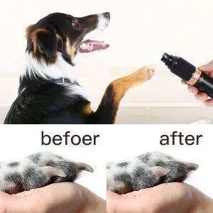 Noise-Free Electric Cat/Dog Nail Grinder for Effortless Clipping/Grinding - da8f0f25 1566 4efa b2ca 0960f323bb34. CR00300300 PT0 SX300 V1 da8f0f25 1566 4efa b2ca 0960f323bb34. CR00300300 PT0 SX300 V1