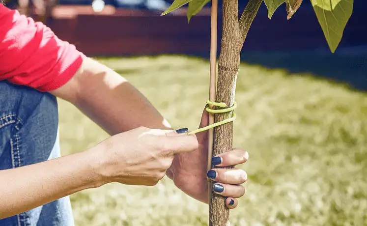 These Cable Organizers Will Blow Your Mind - image 110 image 110