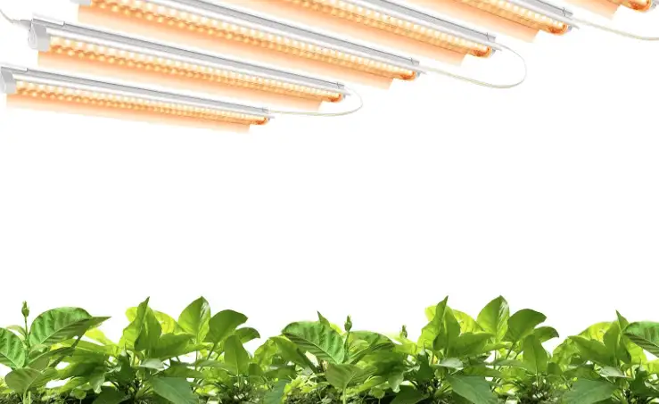 Best Gift Ideas for Moms Who Loves Gardening - image 162 1 image 162 1