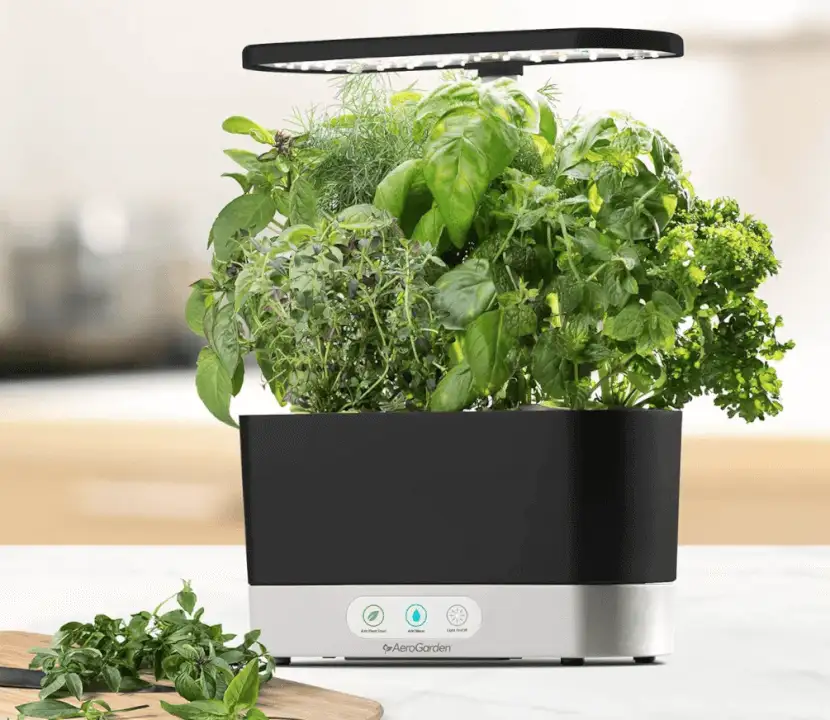 Best Gift Ideas for Moms Who Loves Gardening - image 163 1 image 163 1