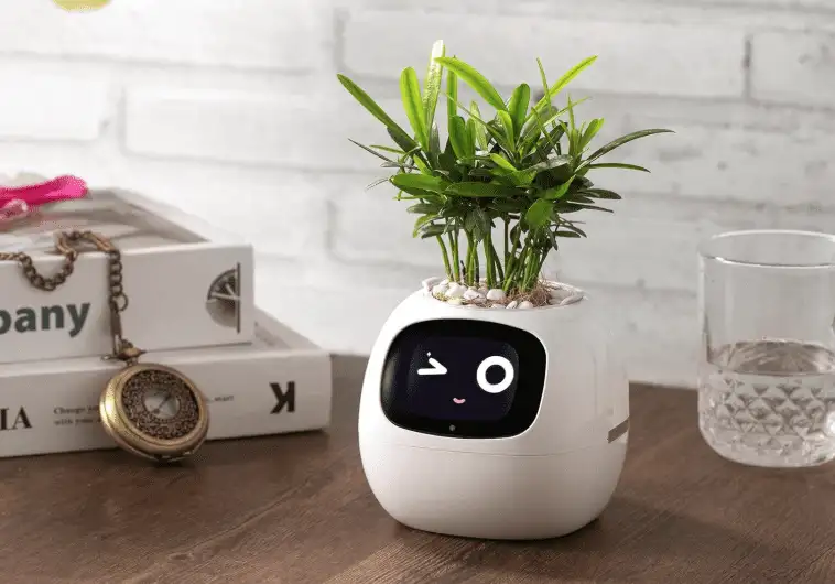 Amazon Gadgets That Will Upgrade Your Apartment - image 171 image 171