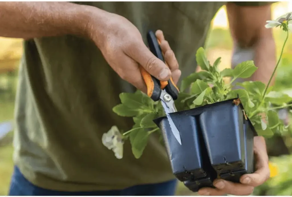 Best Gift Ideas for Moms Who Loves Gardening - image 177 1 image 177 1