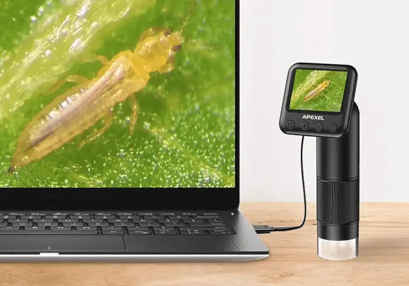 Must-Have Gadgets for Teachers in a Classroom - image 37 image 37