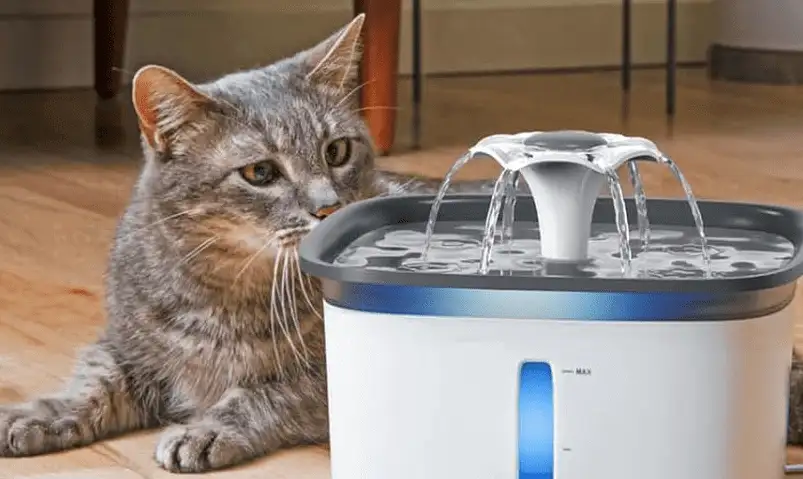 Holiday Gift Ideas for Dog Owners - image 85 image 85