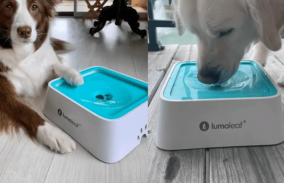 Holiday Gift Ideas for Dog Owners - image 87 image 87