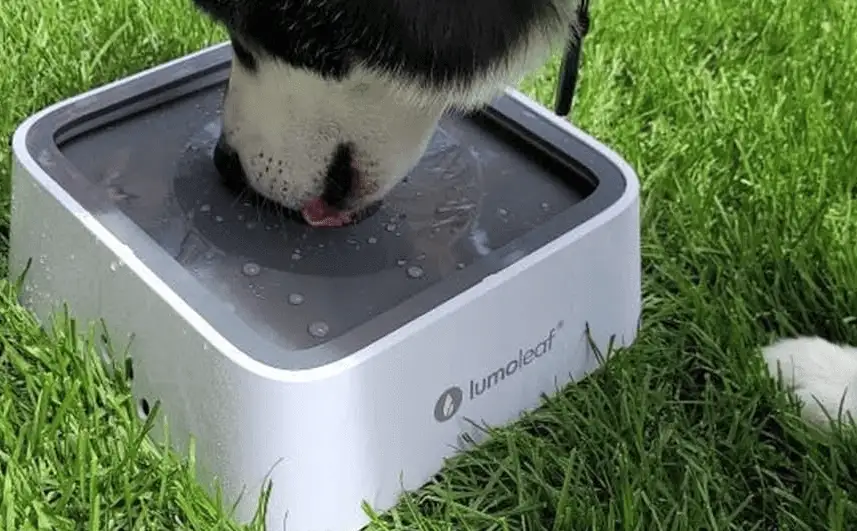 Amazon Find Gadgets That Will Change Your Life - image 9 1 image 9 1