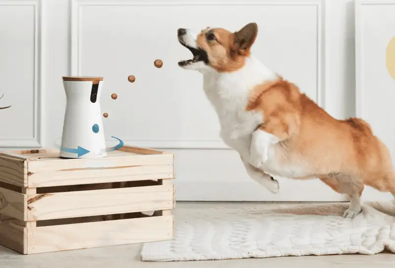 Holiday Gift Ideas for Dog Owners - image 91 image 91