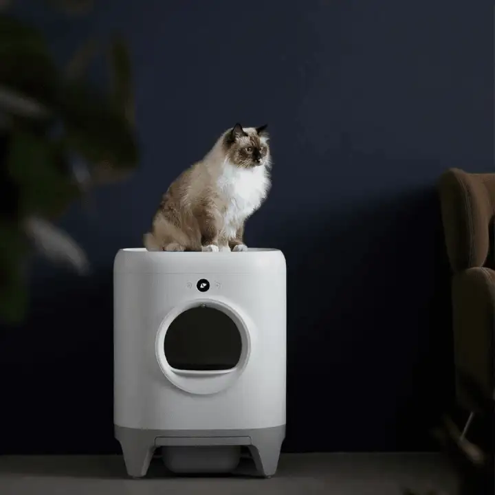 PETKIT PuraX Will Self-Clean Your Cat Litter So You Don't Have To -
